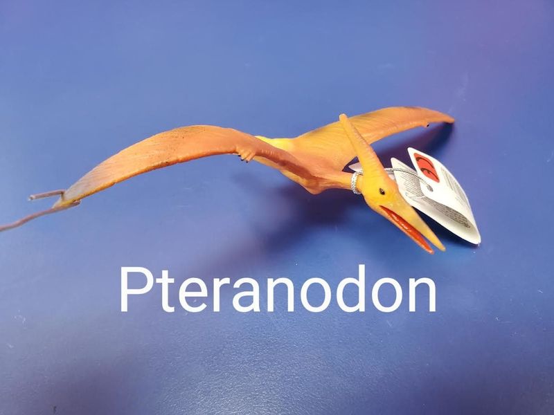 Breyer Pteranodon