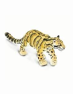 Clouded Leopard