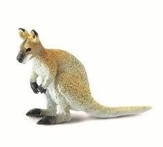 Wallaby