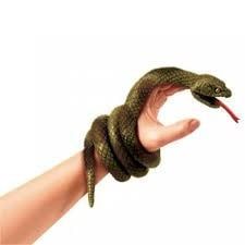 3.5&quot; Wrist Rattler