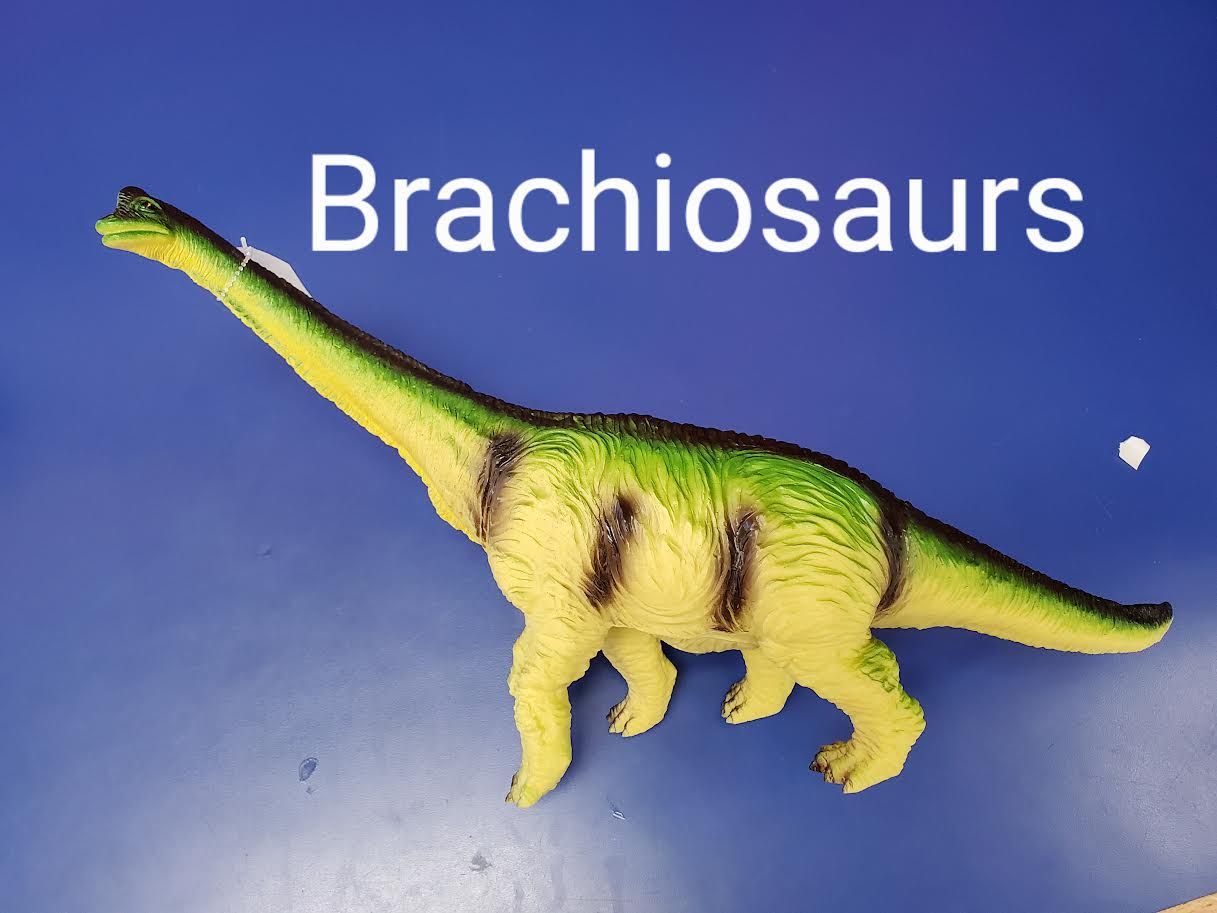 Colossal Dino Brachiosaurs