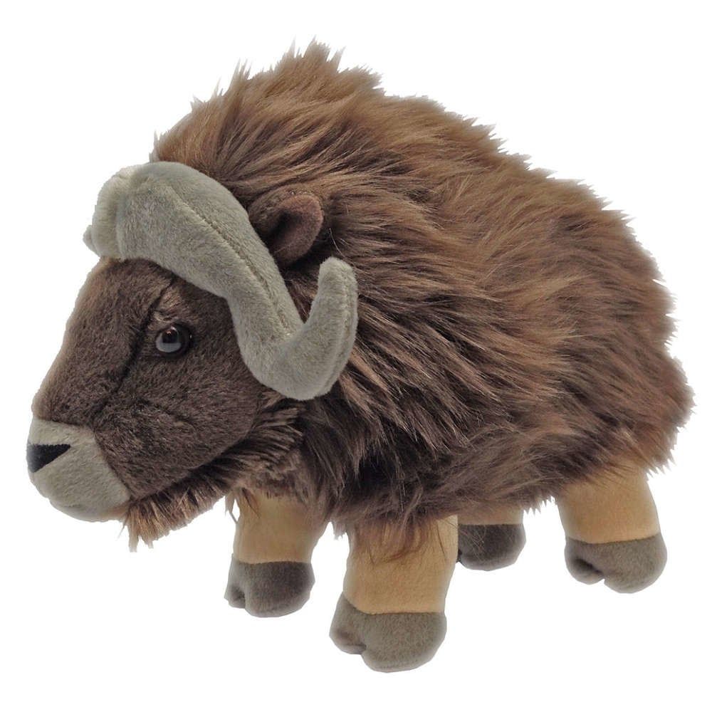 12&quot; Musk Ox