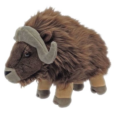 12" Musk Ox