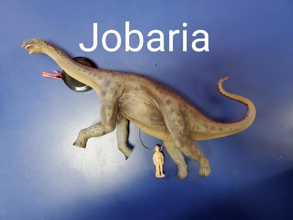 Jobaria -  Deluxe 1:40 Scale