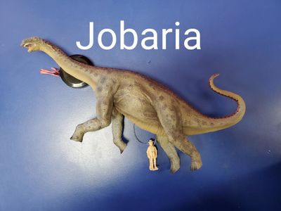 Jobaria -  Deluxe 1:40 Scale