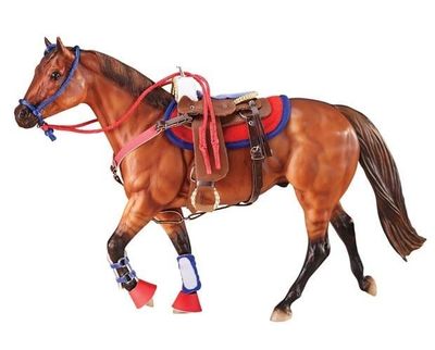 Western Riding Set in Hot Colors Western Riding Set in Hot Colors