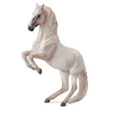 Lipizzaner Stallion