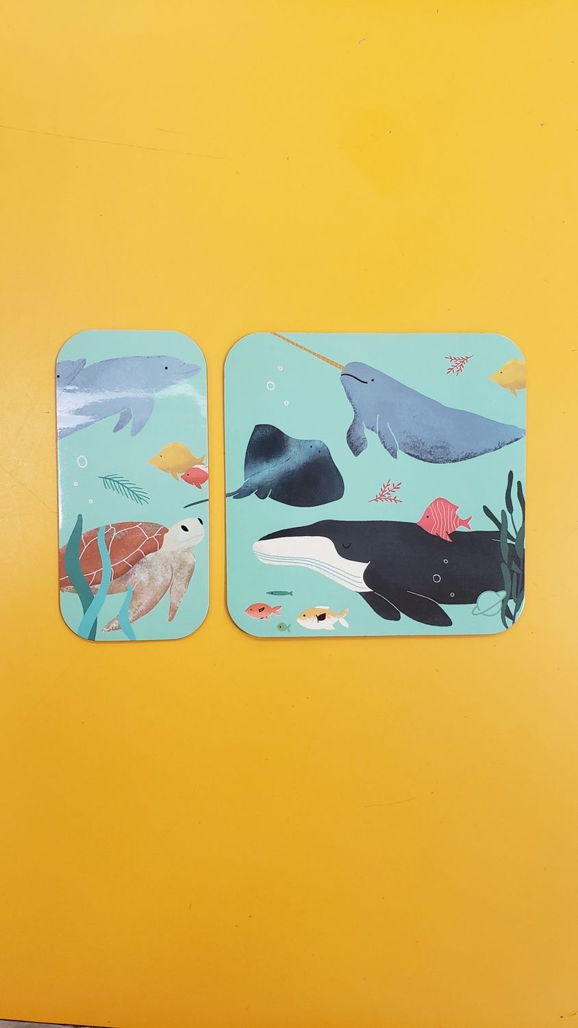 Shuttle Magnets Under the Sea