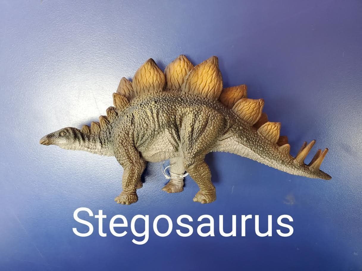 Stegosaurus