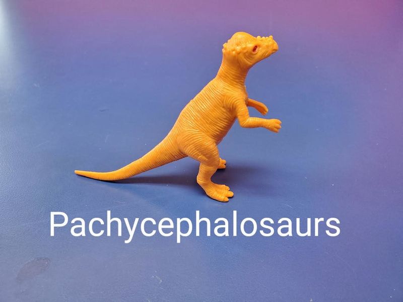 Dinosaur Pachycephalosaurs (Spikes on Head )