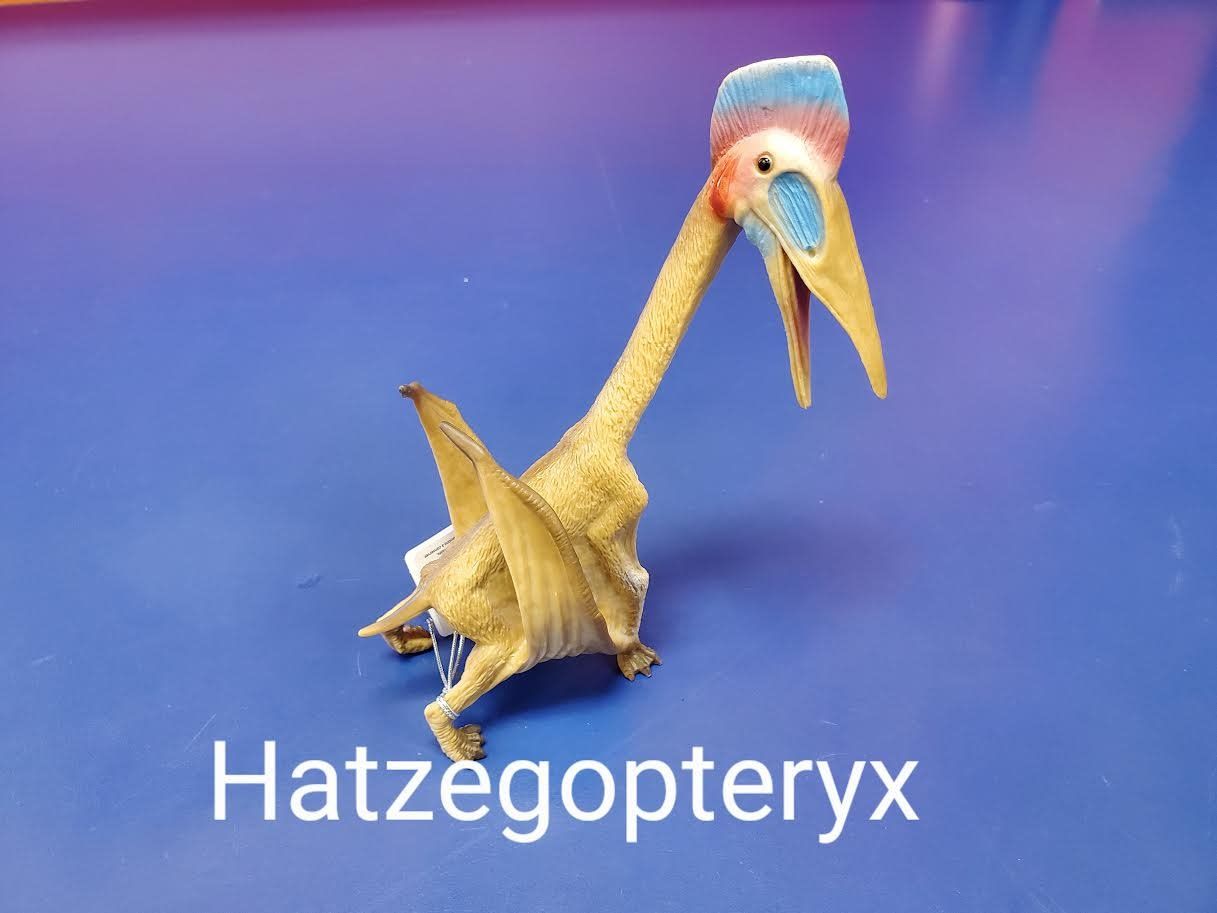 Hatzegopteryx