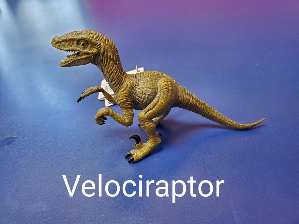 Velociraptor