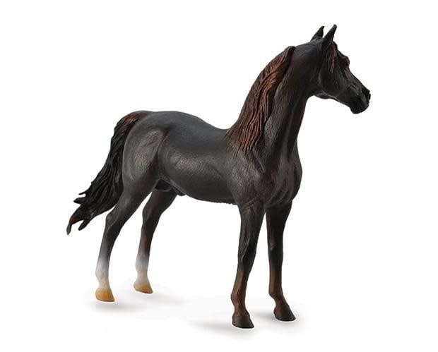 Morgan Stallion - Chestnut