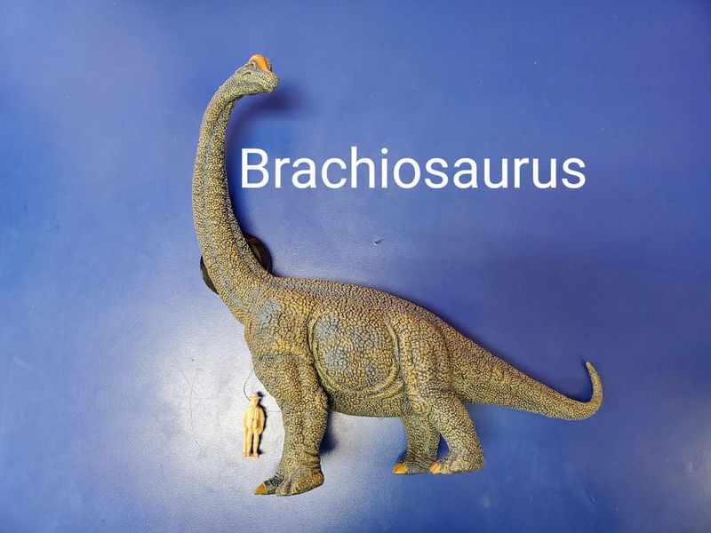 Breyer Brachiosaurus