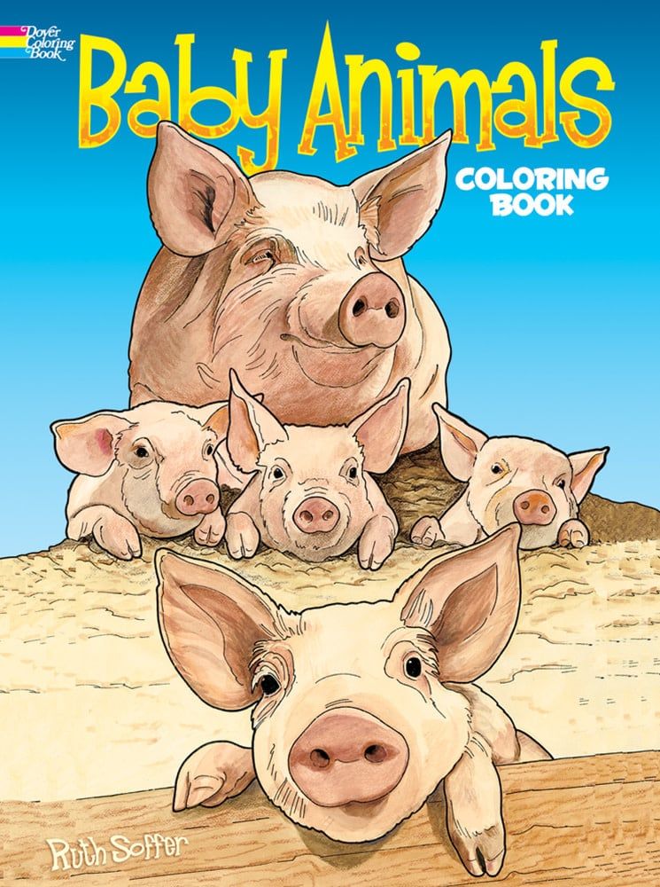 Baby Animals Coloring Book - Ruth Soffer
