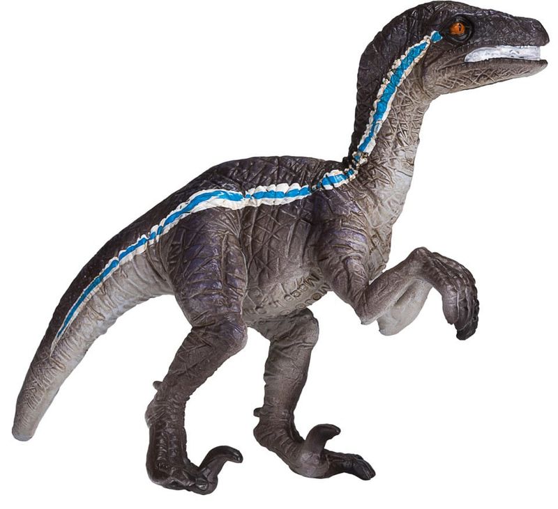 Velociraptor Standing