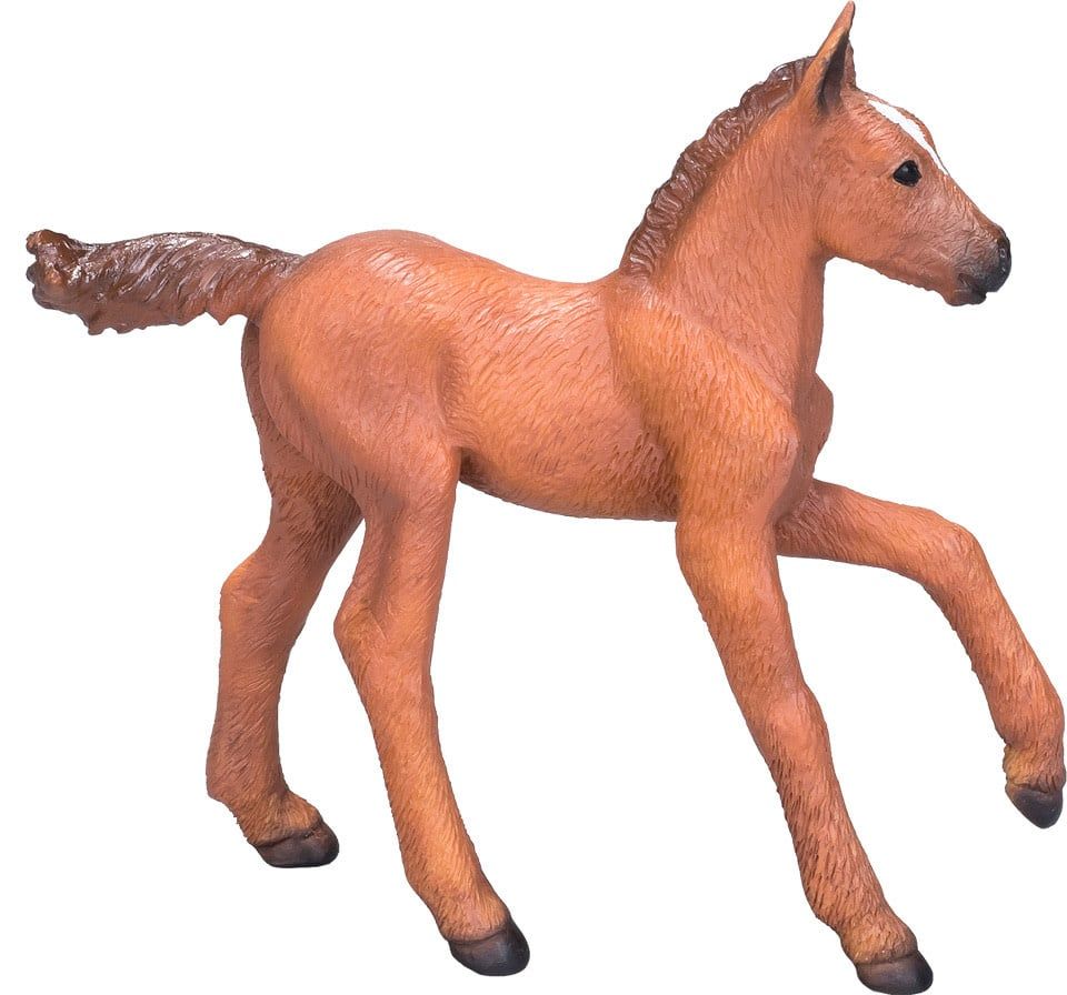 Arabian Foal Chestnut