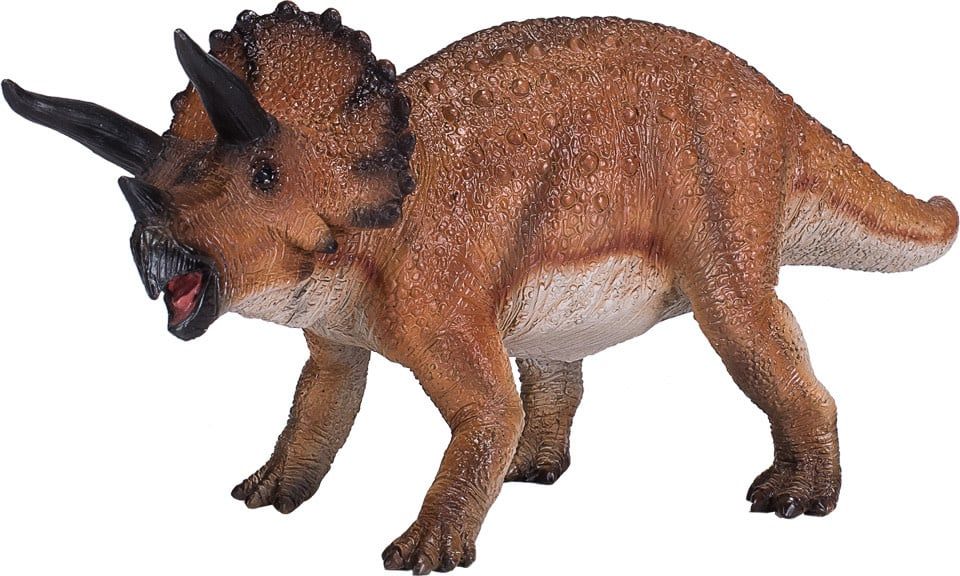 Triceratops