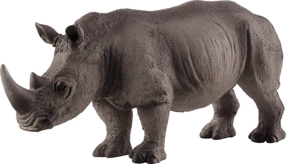 White Rhinoceros