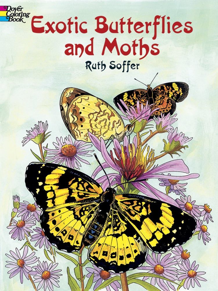 Exotic Butterflies and Moths - Ruth Soffer