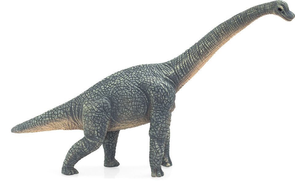 Brachiosaurus