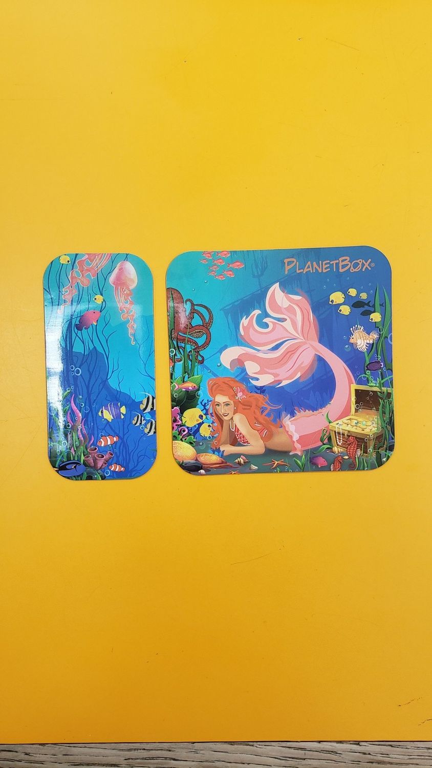 Shuttle Magnet Mermaids