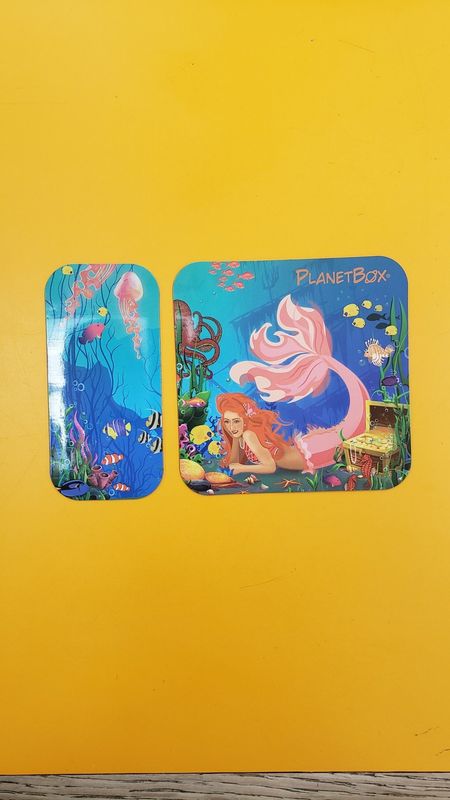 Shuttle Magnet Mermaids