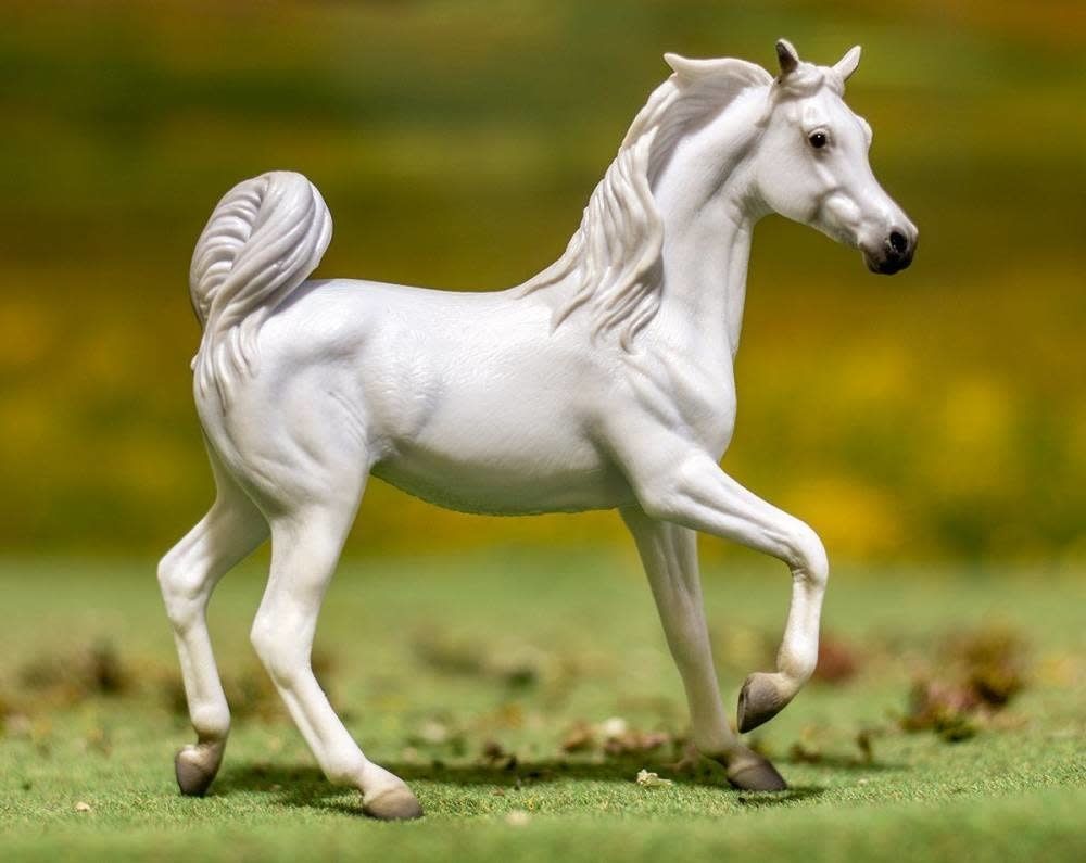 Grey Arabian Mare