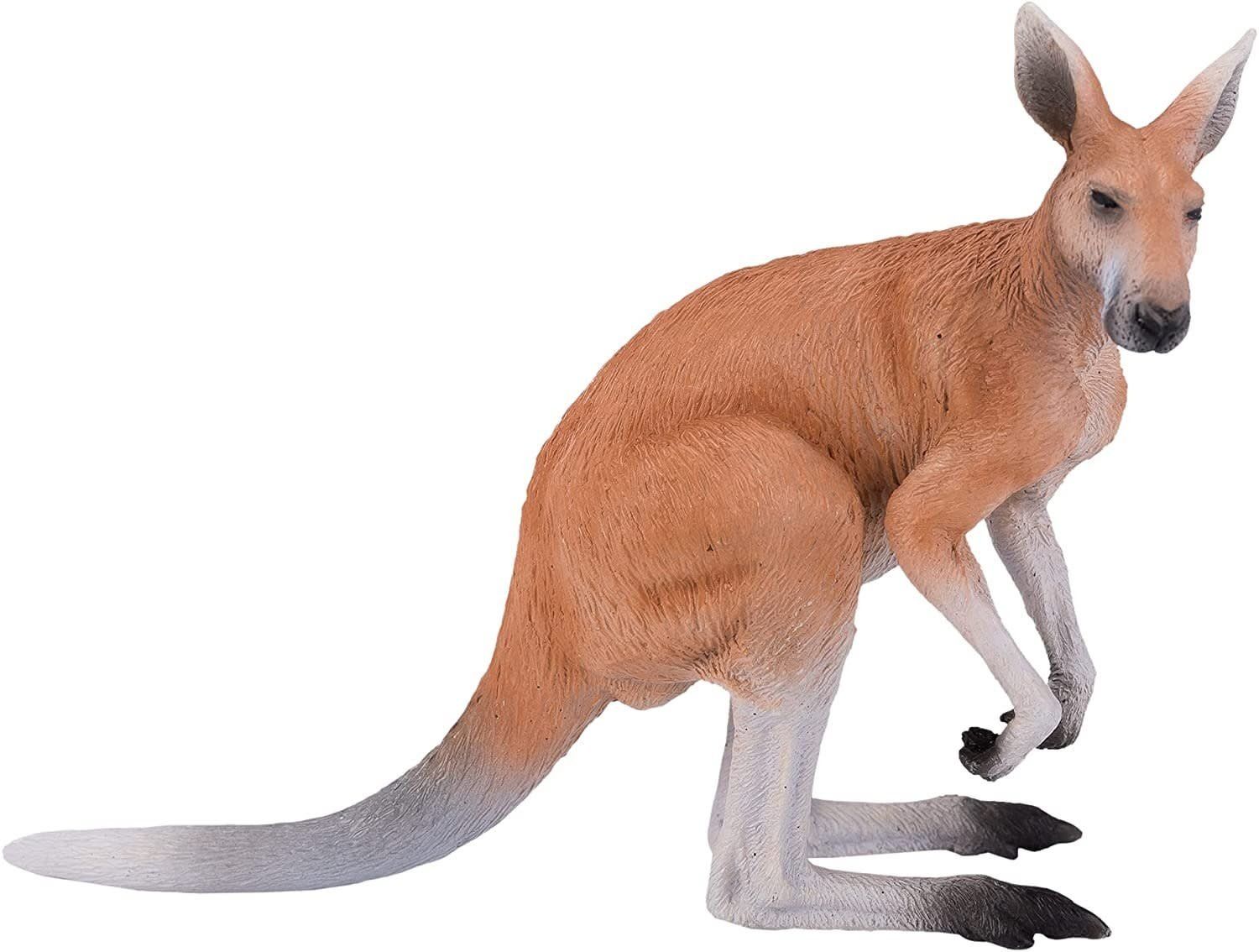 Kangaroo Large