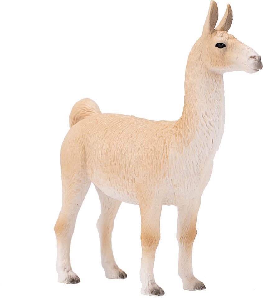 Llama