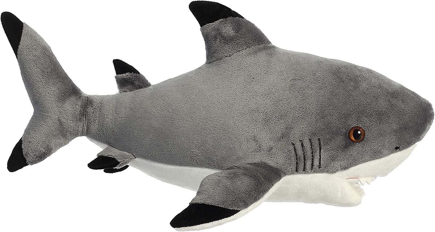 16&quot; Blacktip Shark