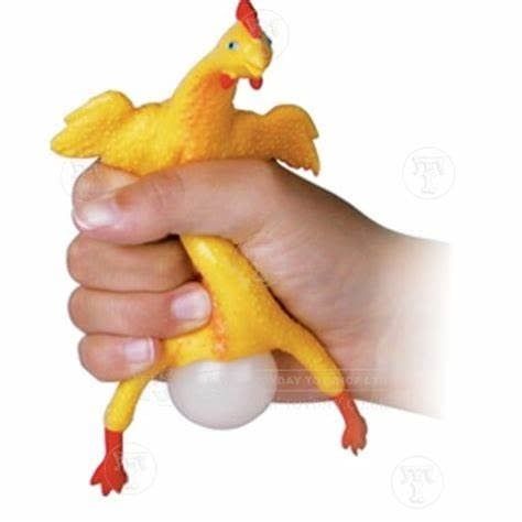 Egg Laying Chicken