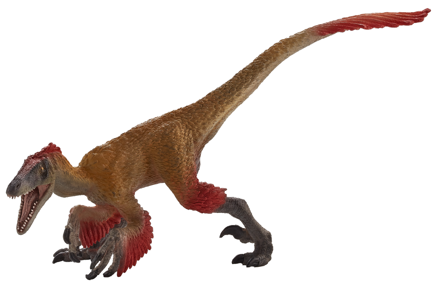 Deinonychus