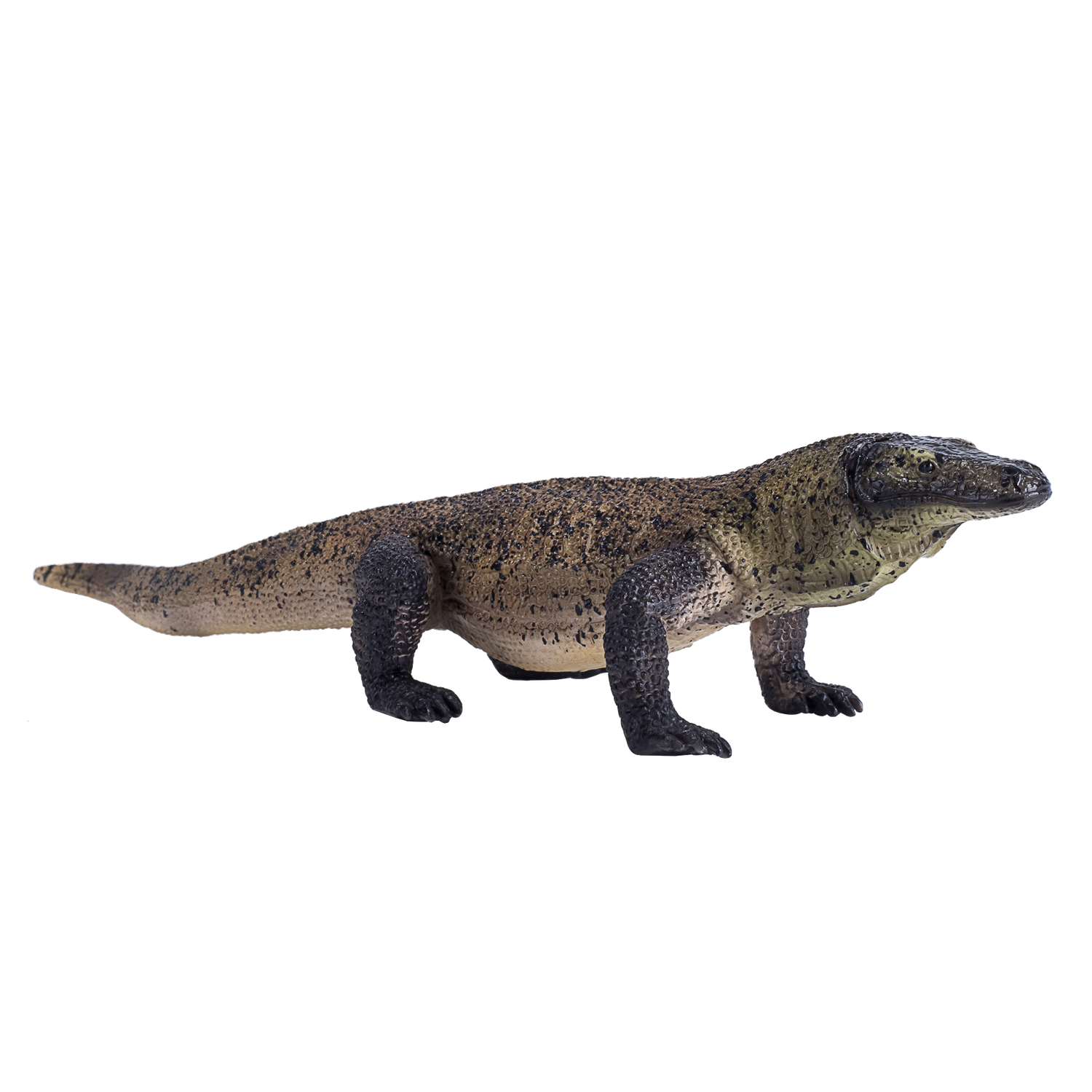 Komodo Dragon