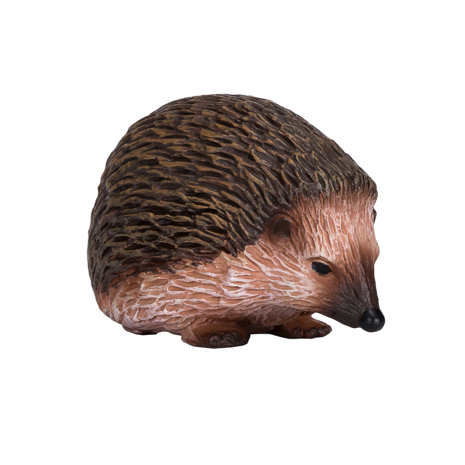 Hedgehog