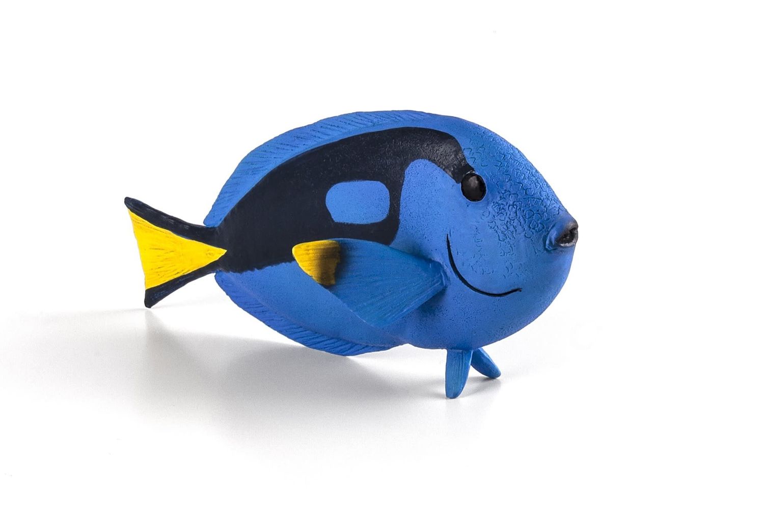 Blue Tang Fish