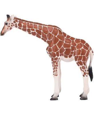 Giraffe Female