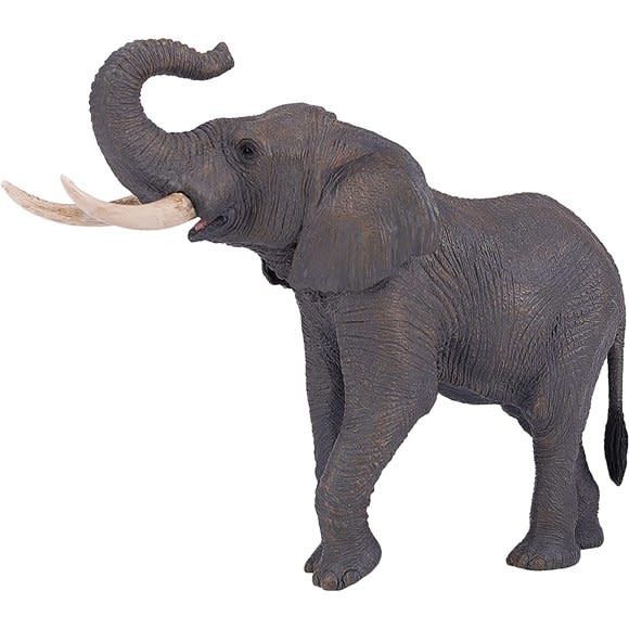 African Elephant XXL