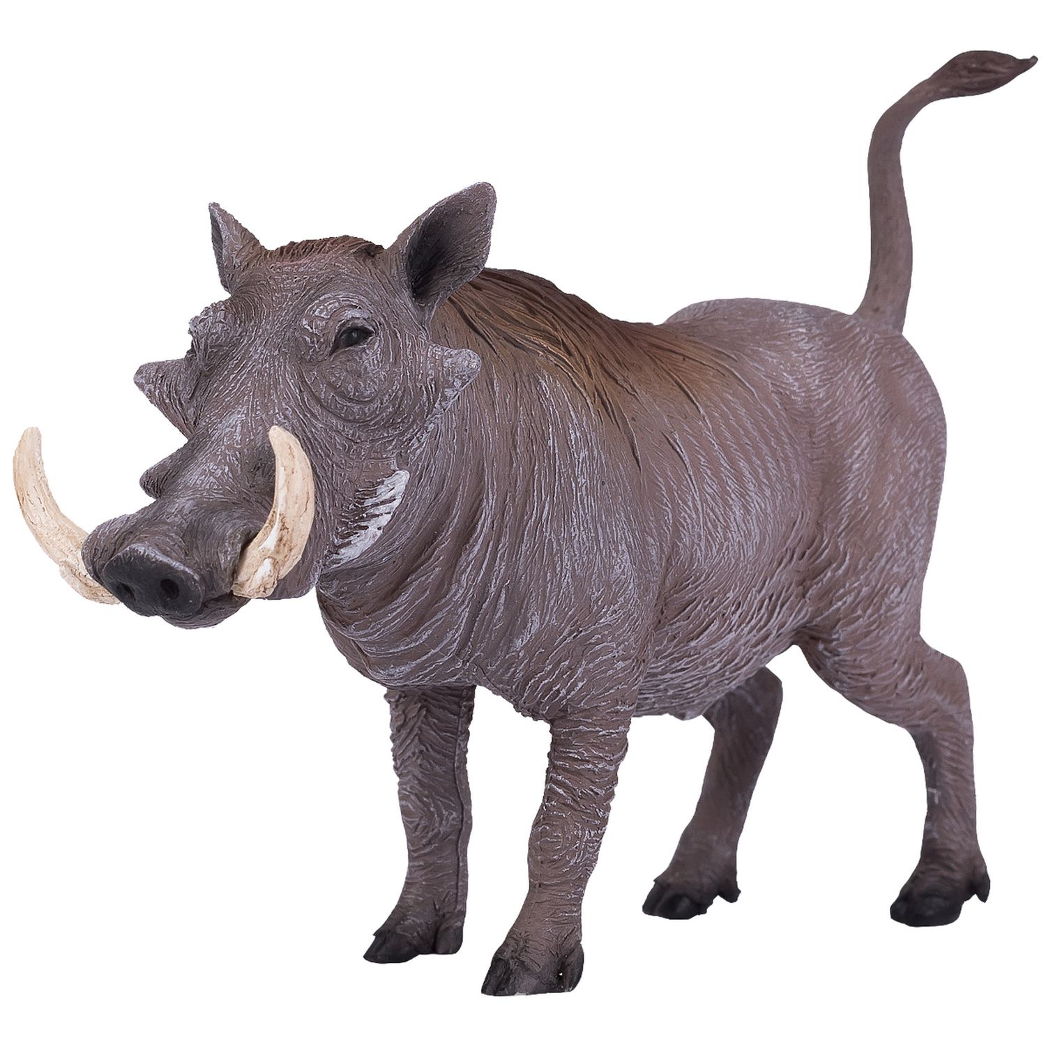 Warthog