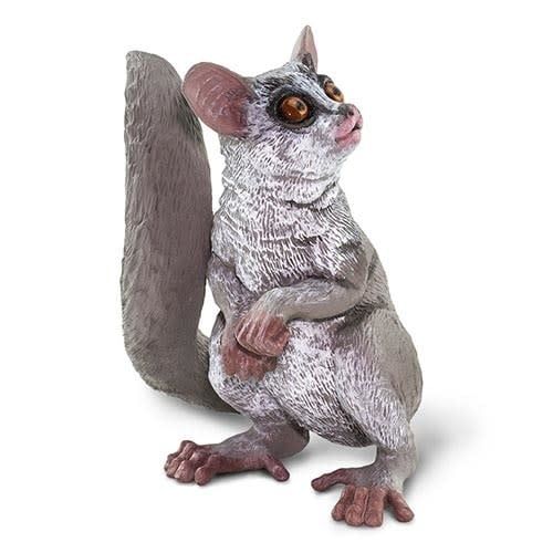 Bush Baby