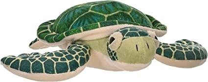 Jumbo Green Sea Turtle
