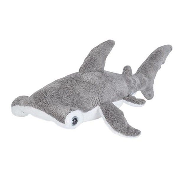 Hammerhead Shark