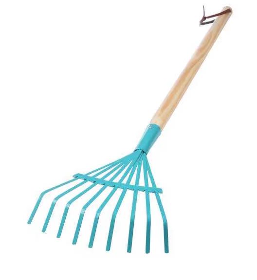 Leaf Rake