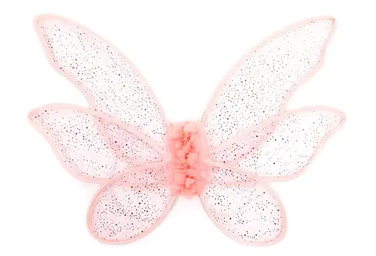 Rose Garden Fairy Wings