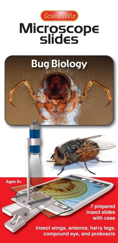 Bug Biology Slides (set of 7)