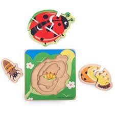 Lifecycle Layer Puzzle Ladybug