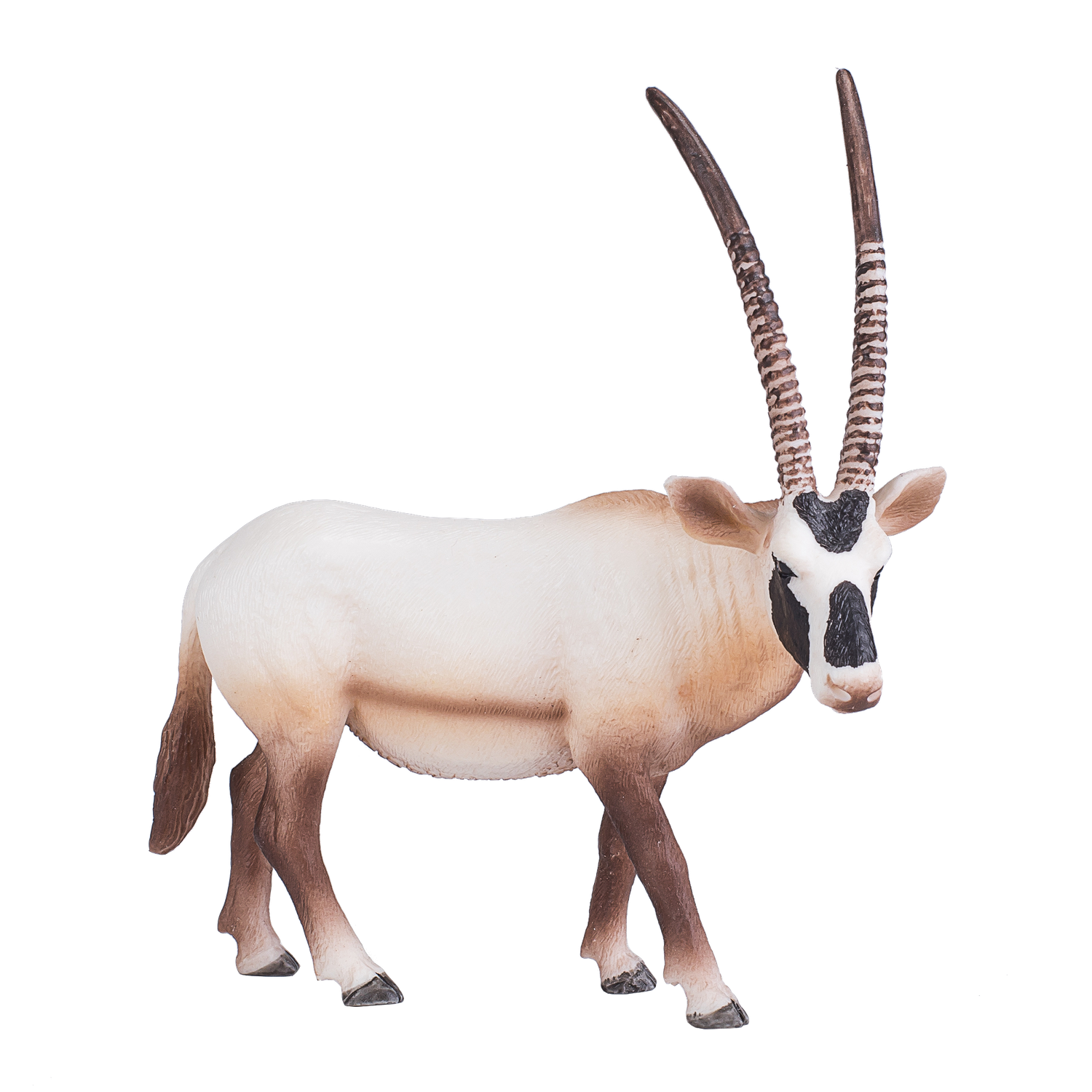 Arabian Oryx