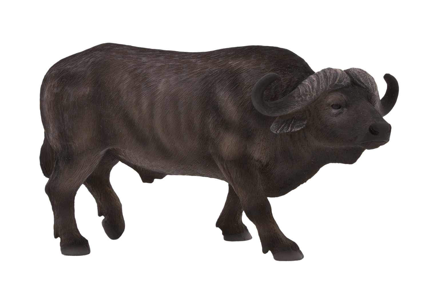 Cape Buffalo