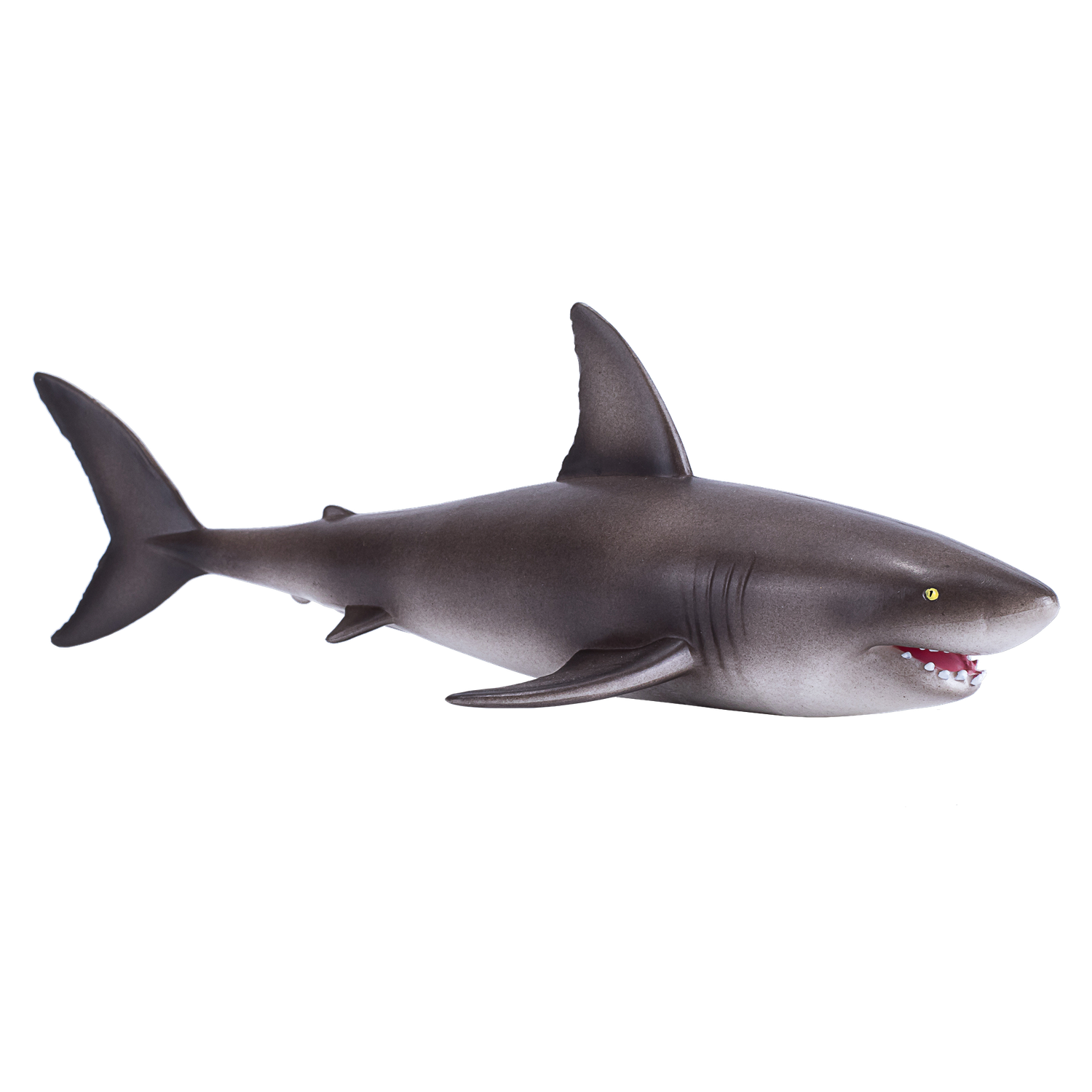 Great White Shark
