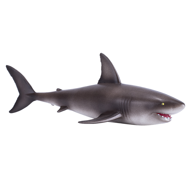 Great White Shark